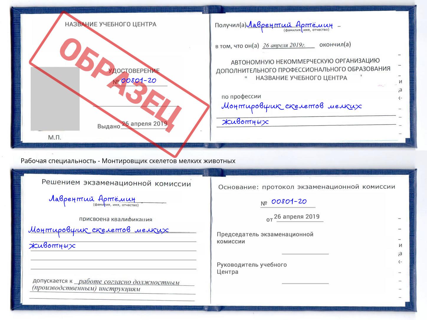 Монтировщик скелетов мелких животных Дмитров