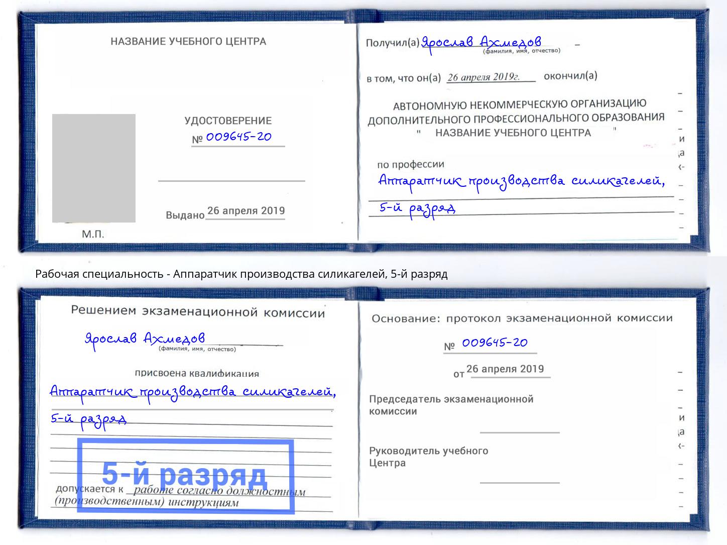 корочка 5-й разряд Аппаратчик производства силикагелей Дмитров