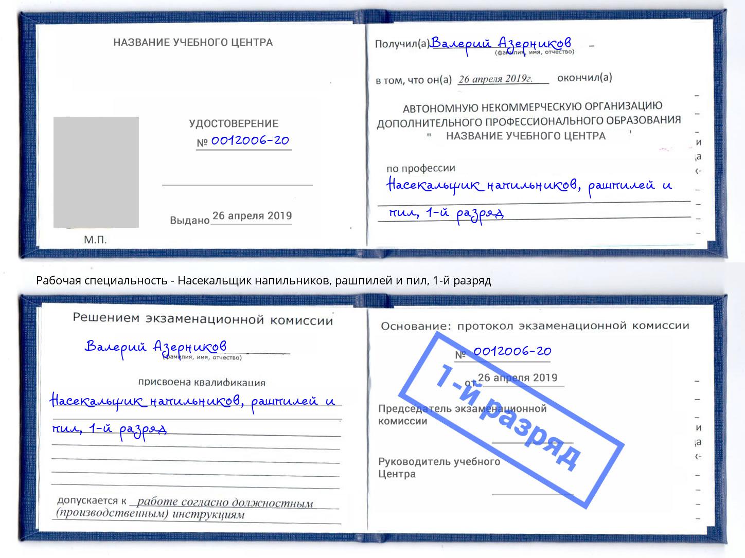 корочка 1-й разряд Насекальщик напильников, рашпилей и пил Дмитров