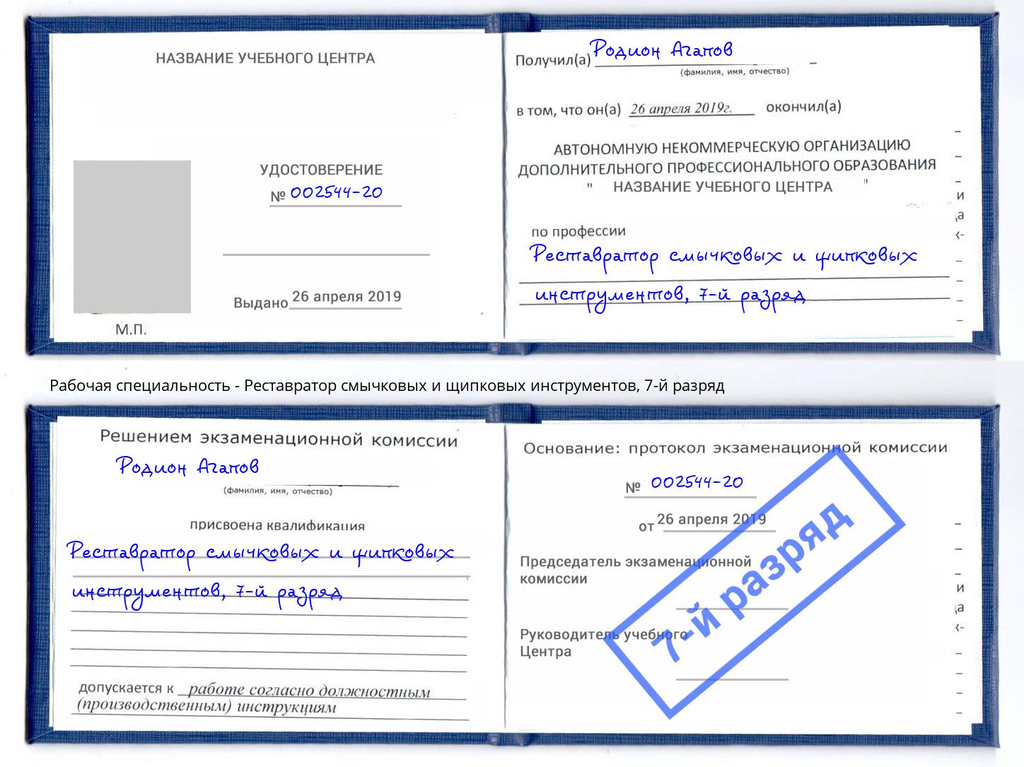 корочка 7-й разряд Реставратор смычковых и щипковых инструментов Дмитров