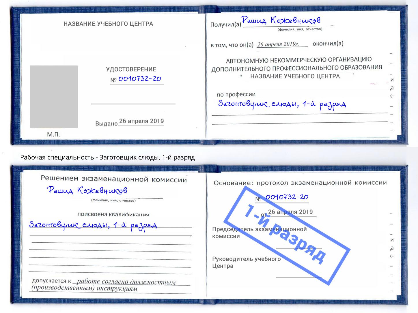 корочка 1-й разряд Заготовщик слюды Дмитров
